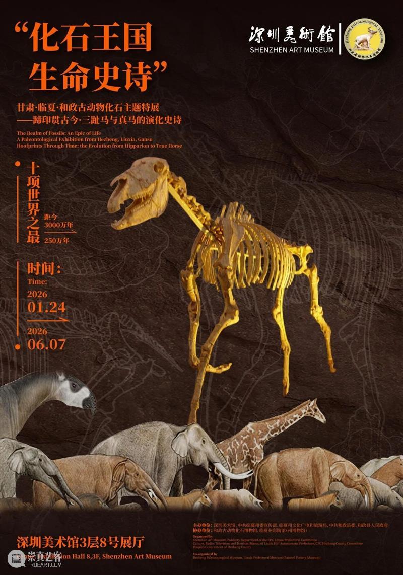 展览延期 | 化石王国·生命史诗——甘肃·临夏·和政古动物化石主题特展 崇真艺客