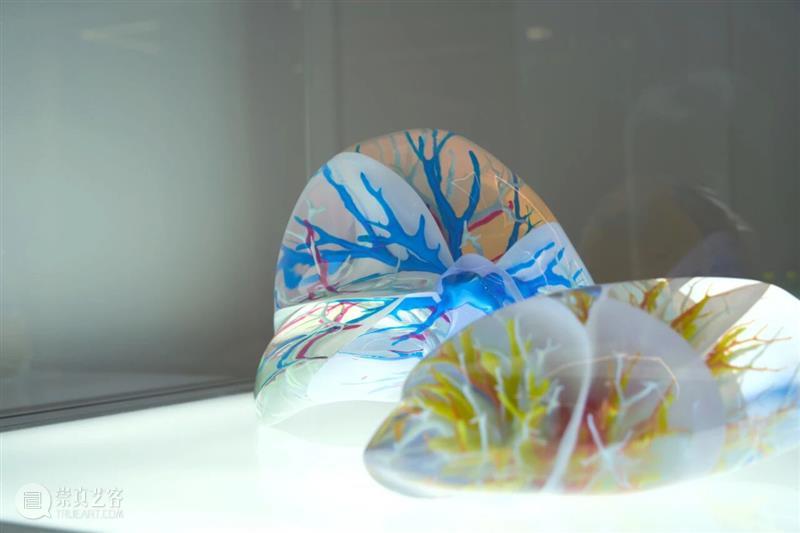ASE 对话|祝羽捷 x Joan:谈展览《肉身迷航》的起源、艺术与医学的跨界、女性视角与未来探索 崇真艺客