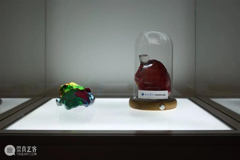 ASE 对话|祝羽捷 x Joan:谈展览《肉身迷航》的起源、艺术与医学的跨界、女性视角与未来探索 崇真艺客