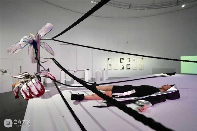 TANK 展览｜“拳击手之梦”展览解析——拳击台&拳击手 崇真艺客
