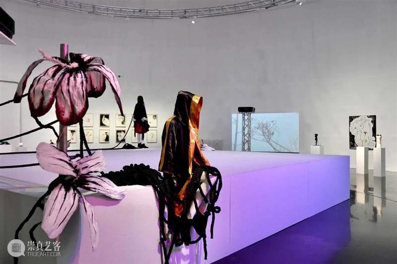 TANK 展览｜“拳击手之梦”展览解析——拳击台&拳击手 崇真艺客