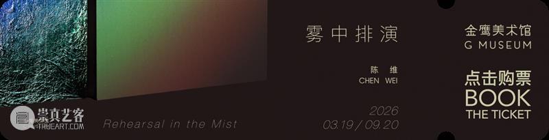 GM展览 |《陈维：雾中排演》访谈视频 崇真艺客