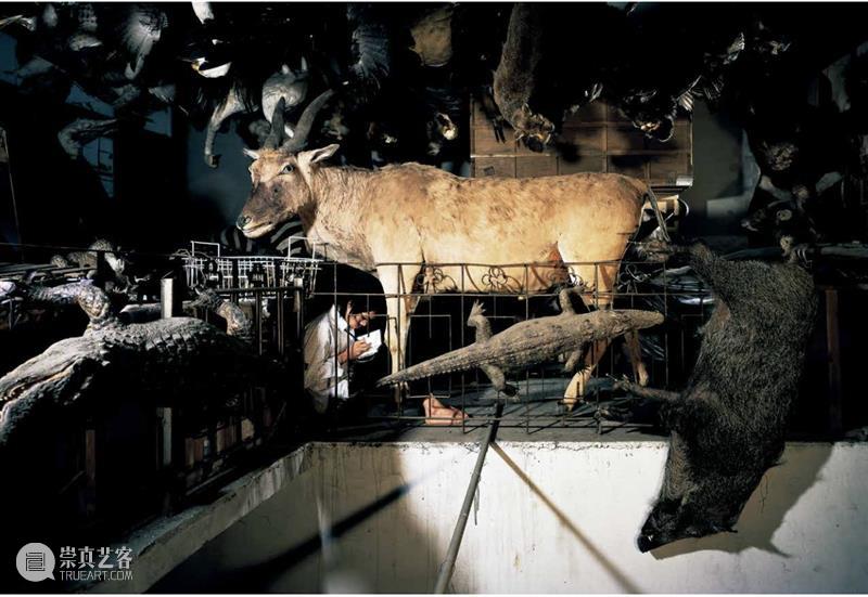 失眠、网瘾……南京一场新展，把现代人的孤独感讲透了 崇真艺客