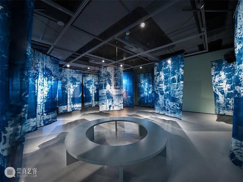广州影像三年展2025 · 学术专论 | 陶丝?达赫玛尼：往昔的波形 —— 论展览《涟漪》   崇真艺客