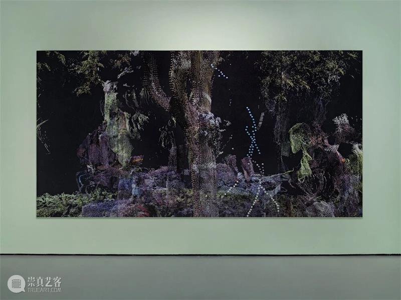 广州影像三年展2025 · 学术专论 | 陶丝?达赫玛尼：往昔的波形 —— 论展览《涟漪》   崇真艺客
