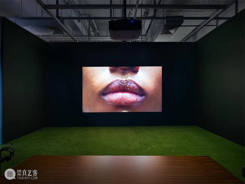 广州影像三年展2025 · 学术专论 | 陶丝?达赫玛尼：往昔的波形 —— 论展览《涟漪》   崇真艺客