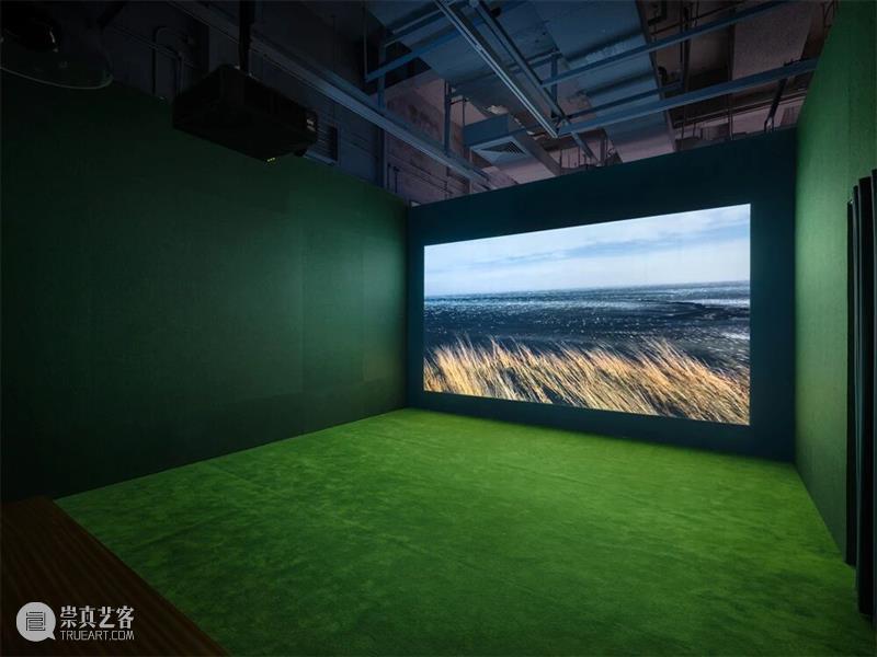 广州影像三年展2025 · 学术专论 | 陶丝?达赫玛尼：往昔的波形 —— 论展览《涟漪》   崇真艺客