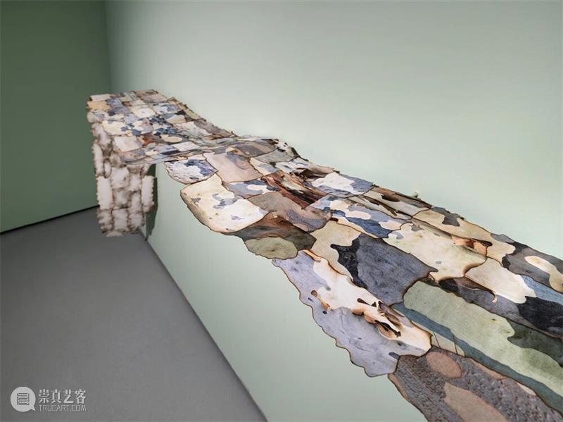广州影像三年展2025 · 学术专论 | 陶丝?达赫玛尼：往昔的波形 —— 论展览《涟漪》   崇真艺客