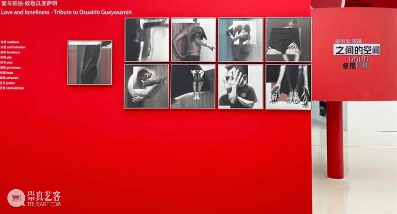 YOUNG展评|王嘉闻:秩序的消隐与存在的显现 崇真艺客