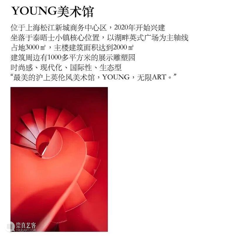YOUNG展评|王嘉闻:秩序的消隐与存在的显现 崇真艺客