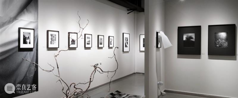 早鸟开票｜第十一届影像上海艺术博览会，五月重返上海展览中心！ 崇真艺客