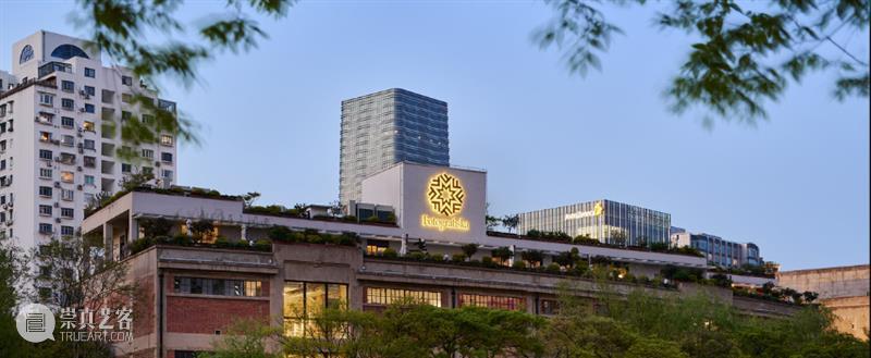 早鸟开票｜第十一届影像上海艺术博览会，五月重返上海展览中心！ 崇真艺客