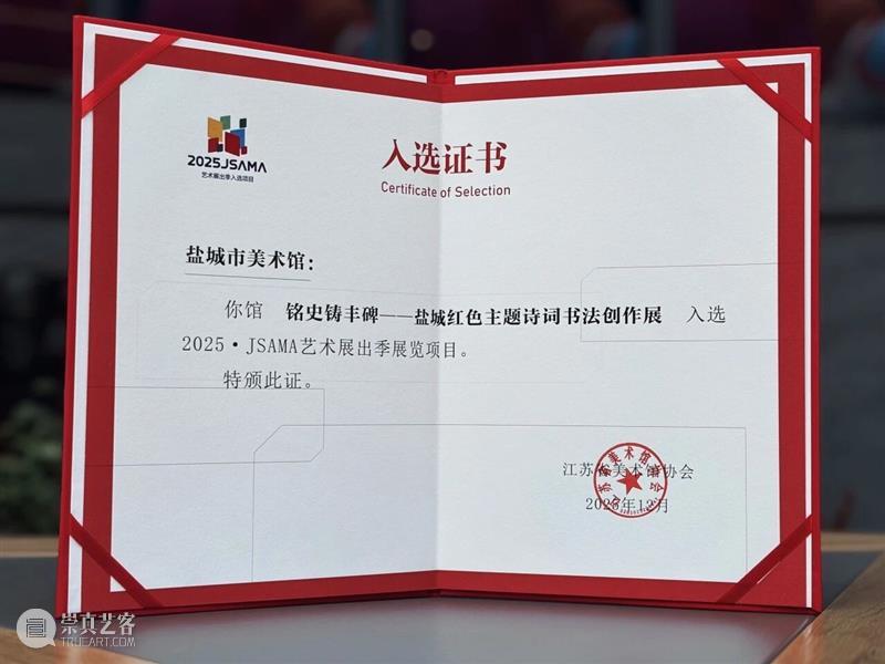 YAM 喜报｜盐美两项工作斩获省级重磅荣誉！ 崇真艺客