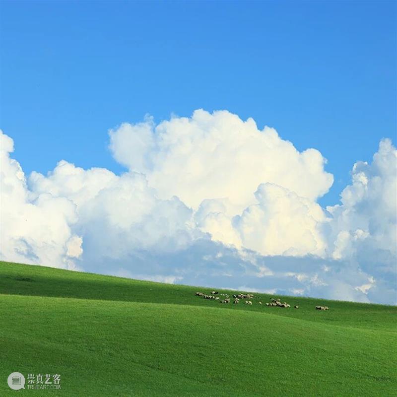五一玩“美”计划,赏心悦目之约! 崇真艺客