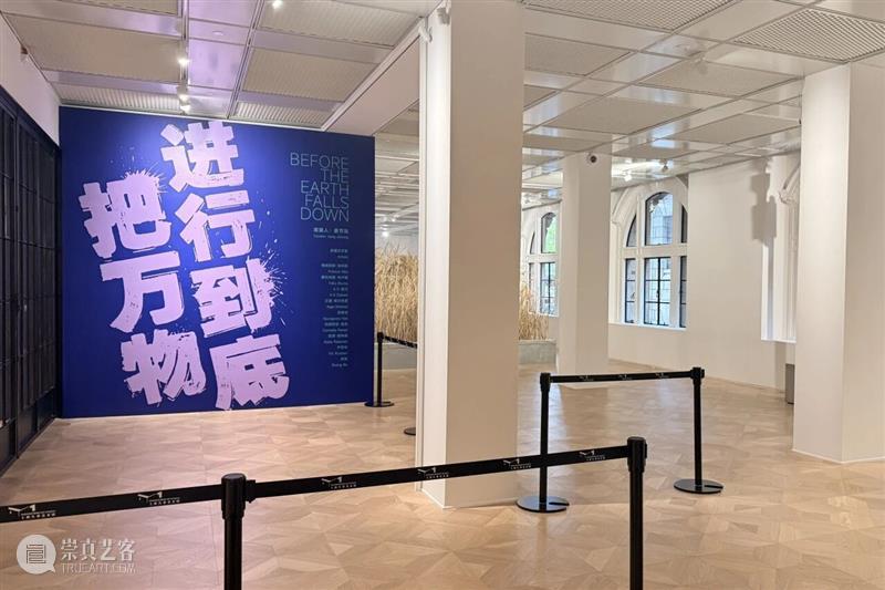 2026影像上海艺术博览会贵宾权益 | 艺享类 崇真艺客