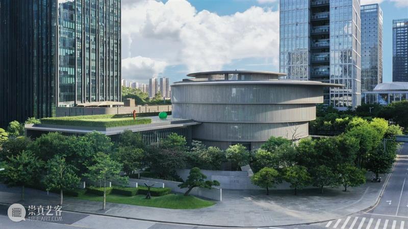 2026影像上海艺术博览会贵宾权益 | 艺享类 崇真艺客