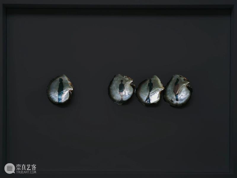 第十一届影像上海艺术博览会展商名单公布,多元参展阵容集中呈现在地与国际影像艺术实践 崇真艺客