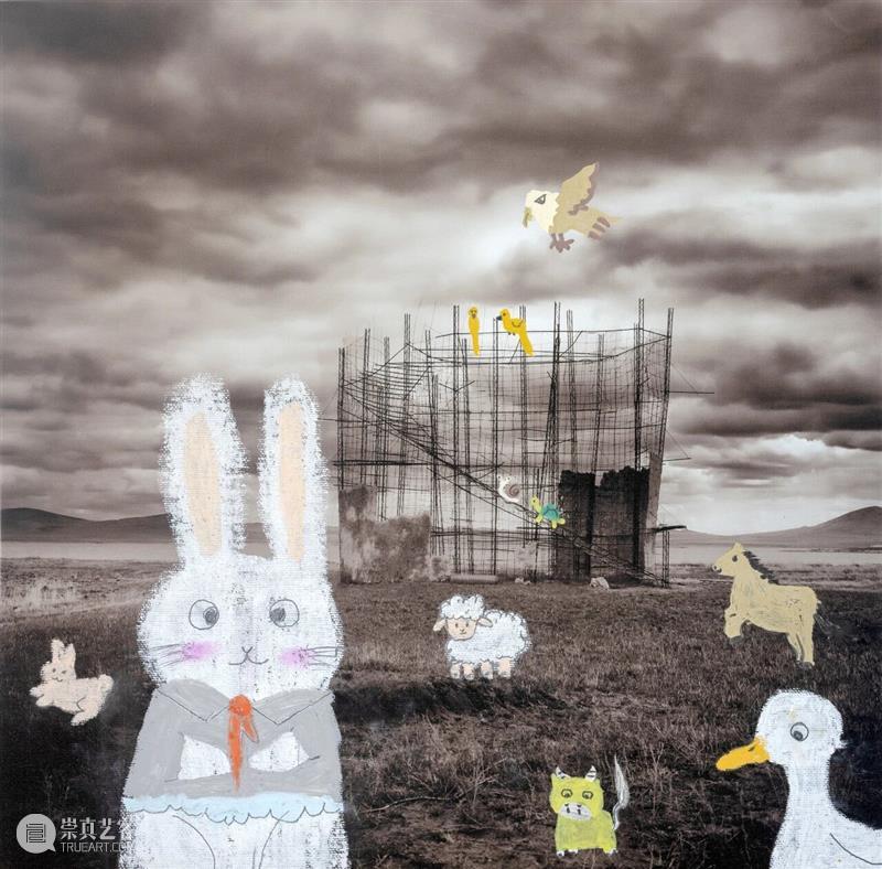 第十一届影像上海艺术博览会展商名单公布,多元参展阵容集中呈现在地与国际影像艺术实践 崇真艺客