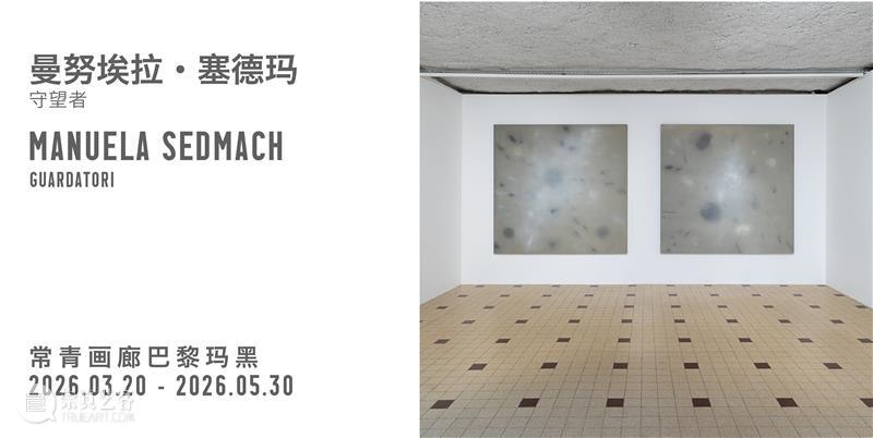 威尼斯双年展 | 常青画廊艺术家项目&展览地图 北京 崇真艺客