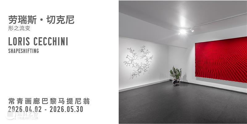 威尼斯双年展 | 常青画廊艺术家项目&展览地图 北京 崇真艺客