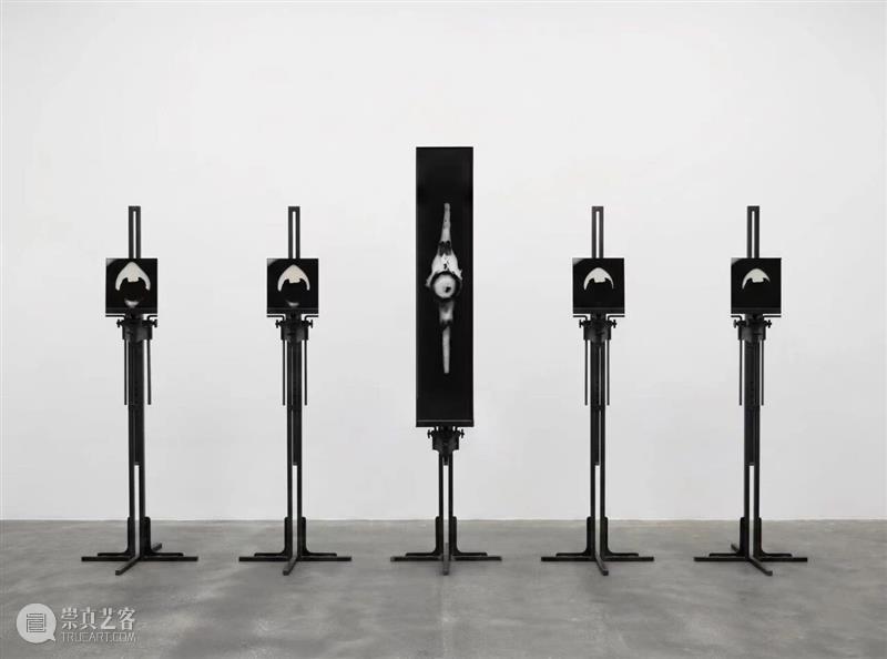 影像上海艺术博览会参展画廊 | NONE PROJECT 崇真艺客
