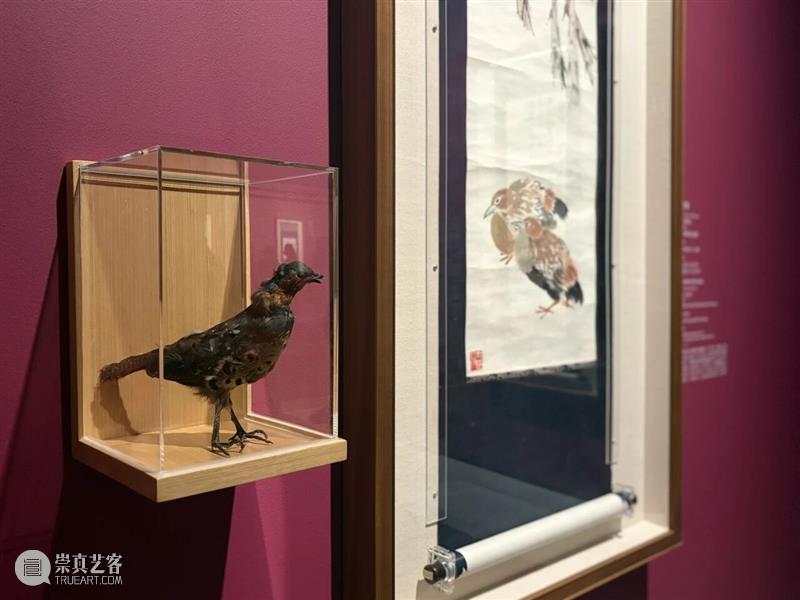 五一必看!一文看懂“齐白石大展”6个看点 崇真艺客