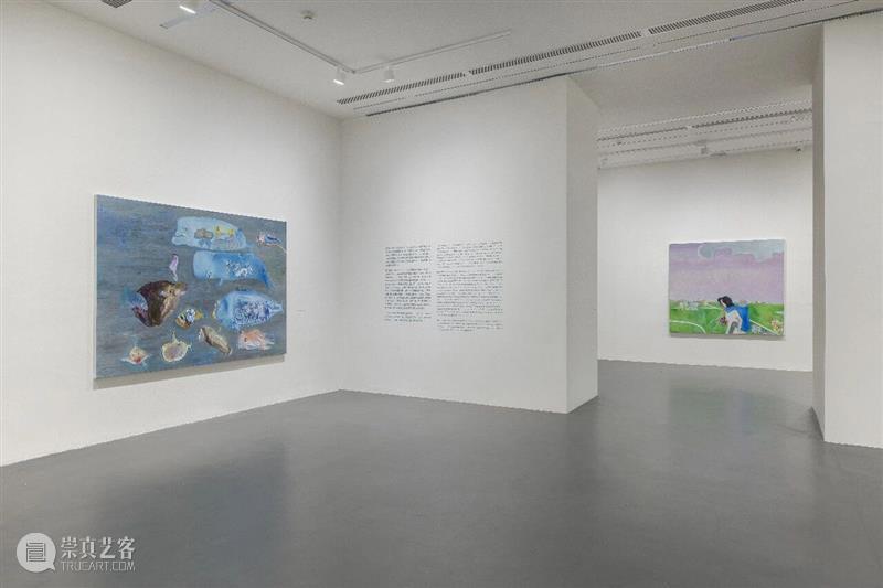“雏菊，微风，没有亲戚在写诗”——段建宇首次北京机构个展拉开帷幕 崇真艺客