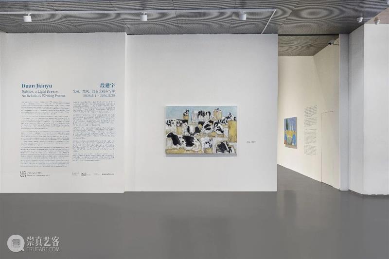 “雏菊，微风，没有亲戚在写诗”——段建宇首次北京机构个展拉开帷幕 崇真艺客