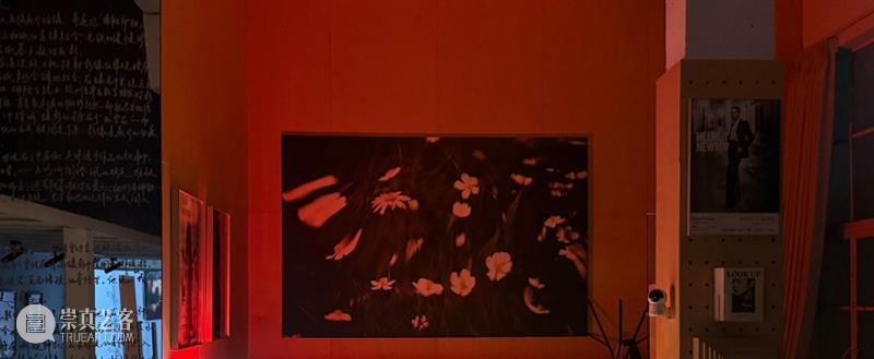影像上海艺术博览会参展画廊 | 映画廊 Inter Gallery 崇真艺客