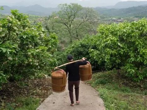 2026上海国际当代影像节：以影像回应时代浪潮 崇真艺客