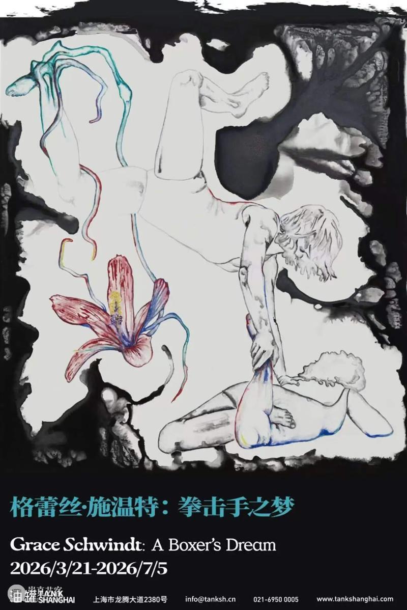 2026上海国际当代影像节：以影像回应时代浪潮 崇真艺客