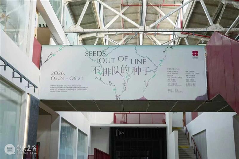 2026上海国际当代影像节：以影像回应时代浪潮 崇真艺客