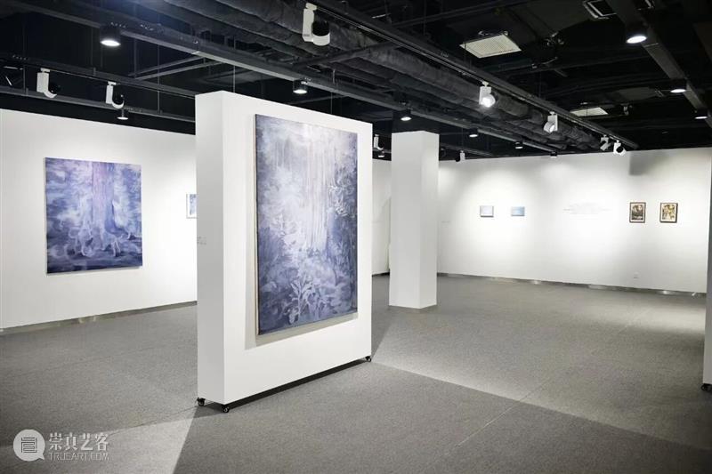 展览现场｜无锡空间郭骐恺个展“植影” 崇真艺客