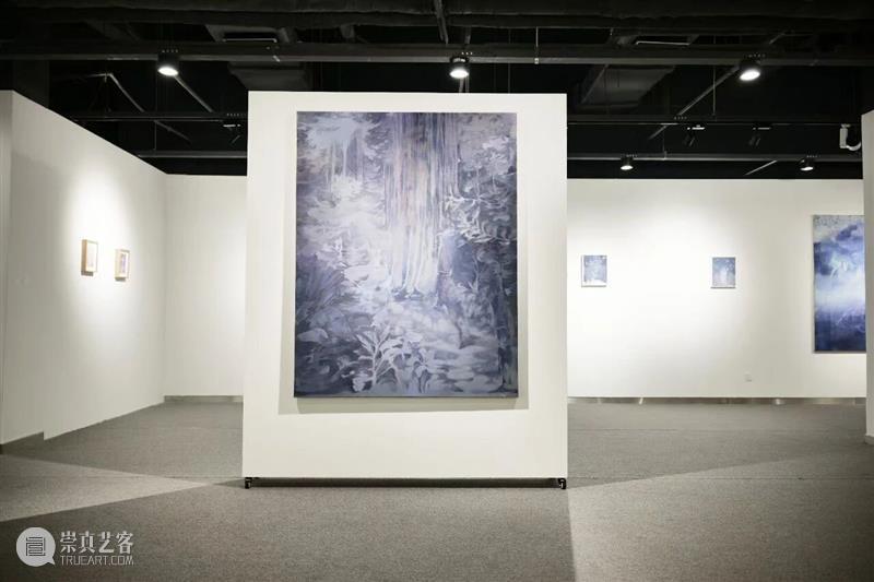 展览现场｜无锡空间郭骐恺个展“植影” 崇真艺客