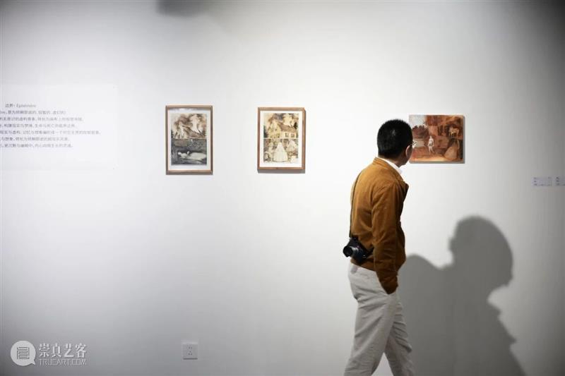展览现场｜无锡空间郭骐恺个展“植影” 崇真艺客