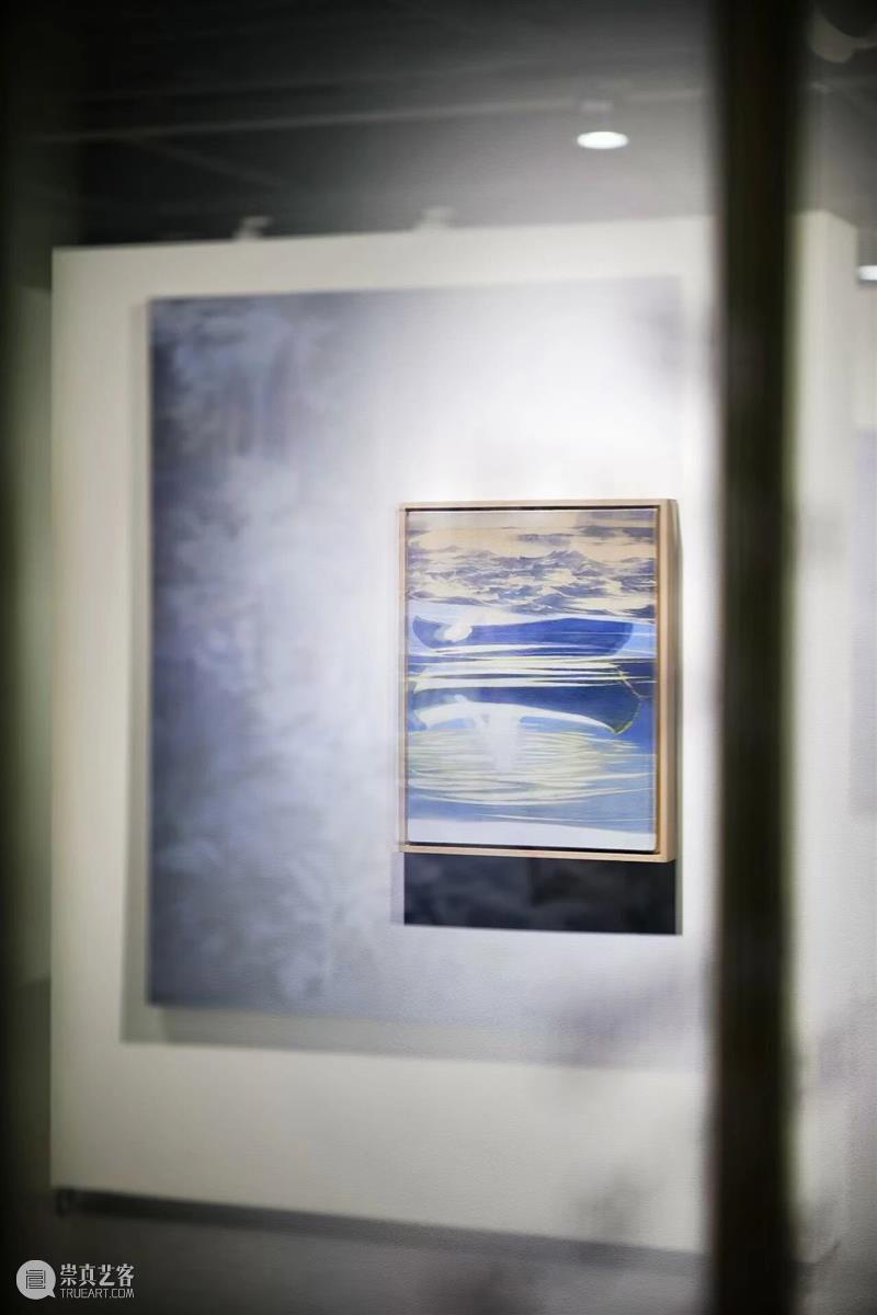 展览现场｜无锡空间郭骐恺个展“植影” 崇真艺客