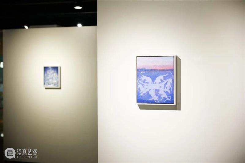 展览现场｜无锡空间郭骐恺个展“植影” 崇真艺客