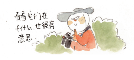 A2M?讲座?| 【博物自然】勾勒生活，观鸟绘心——扫把 × 卡斯丁多分享自然观察和创作的日常 崇真艺客