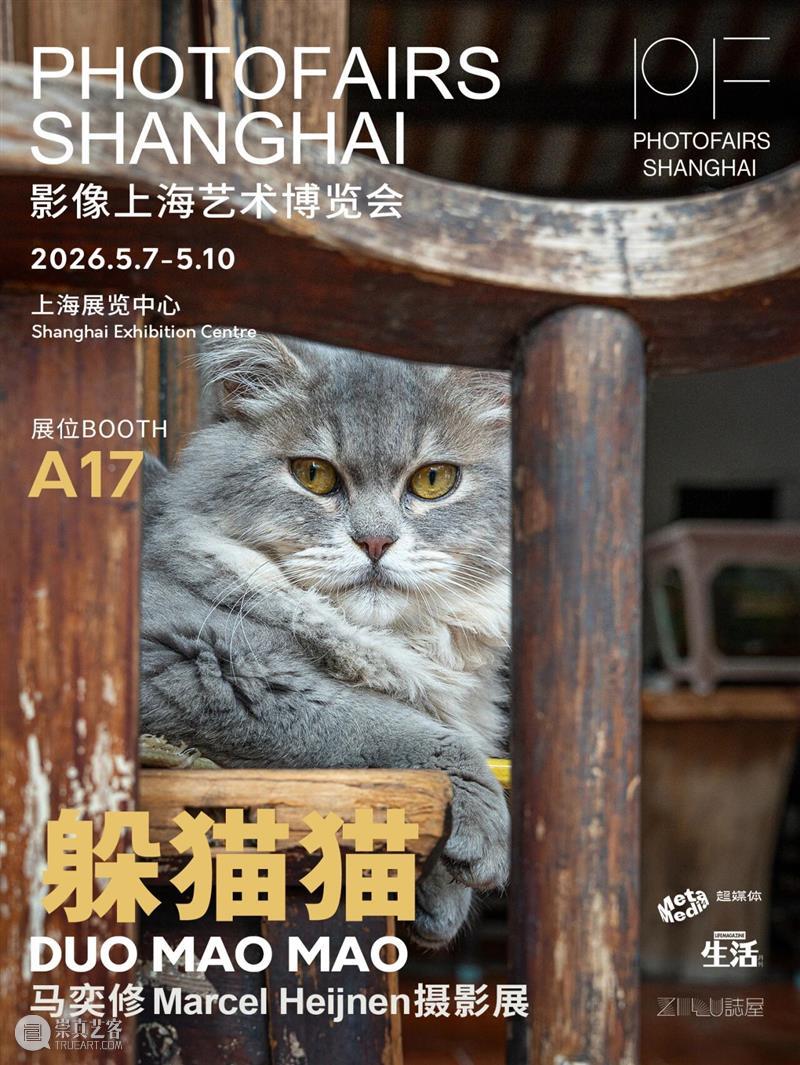影像上海艺术博览会参展机构 | ZiWU誌屋 崇真艺客