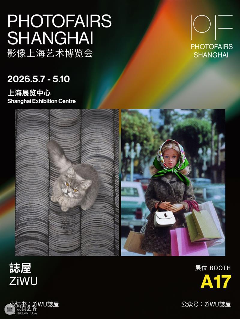 影像上海艺术博览会参展机构 | ZiWU誌屋 崇真艺客