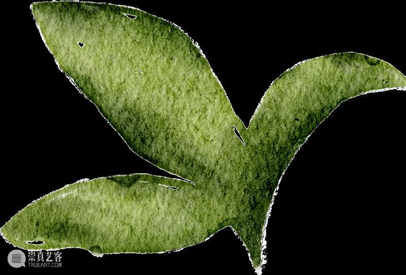 活动回顾 | 玩美主义·儿童工坊:自然拾花·押花初体验 崇真艺客