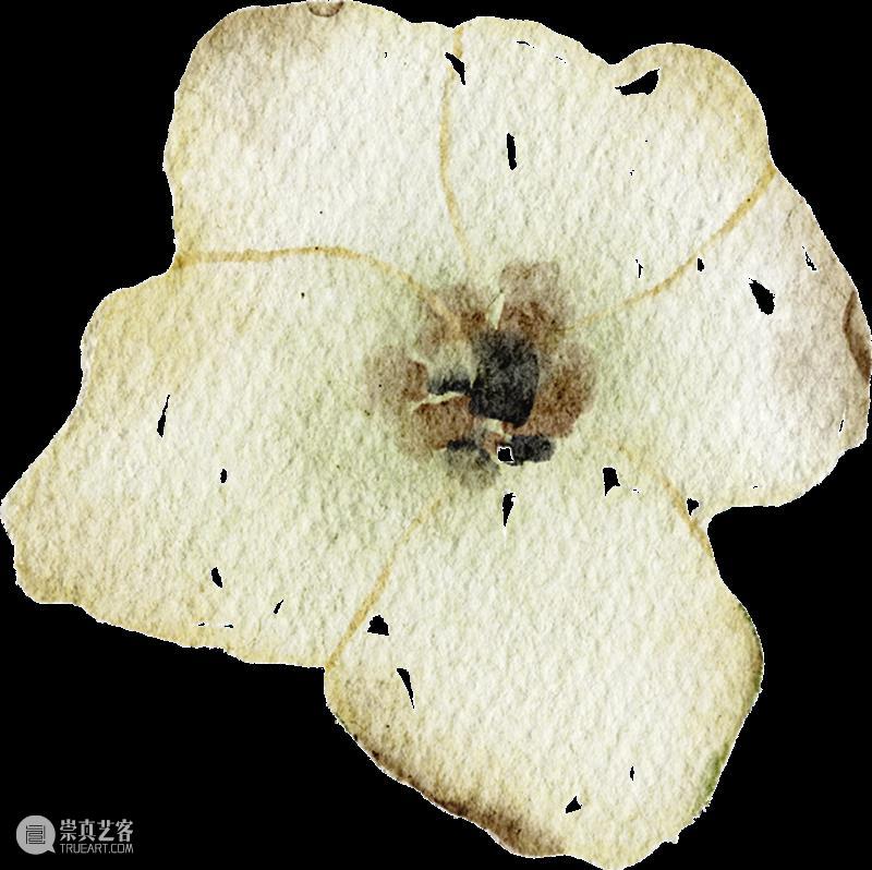 活动回顾 | 玩美主义·儿童工坊:自然拾花·押花初体验 崇真艺客
