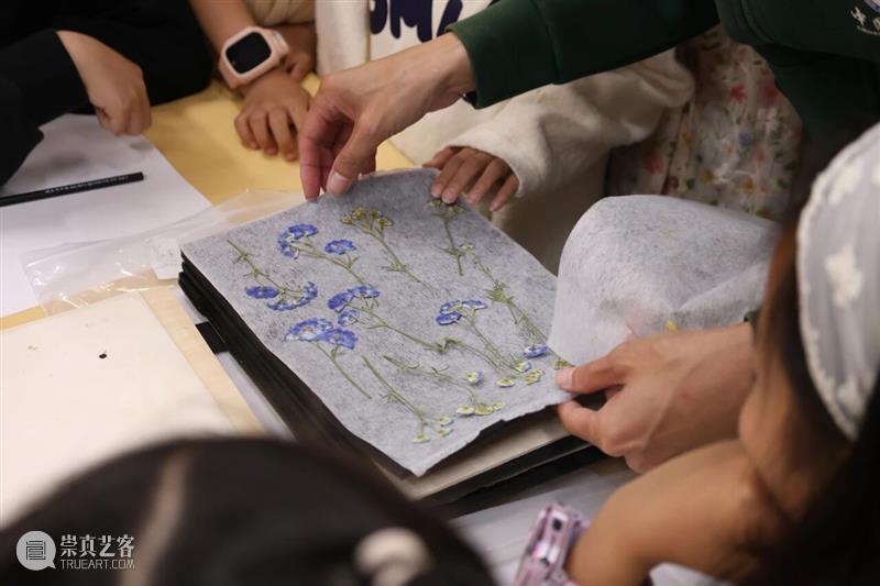 活动回顾 | 玩美主义·儿童工坊:自然拾花·押花初体验 崇真艺客
