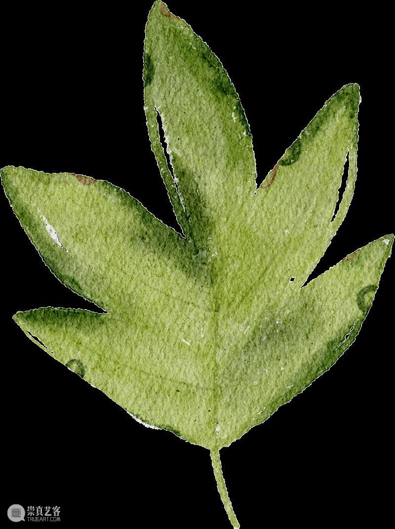活动回顾 | 玩美主义·儿童工坊:自然拾花·押花初体验 崇真艺客