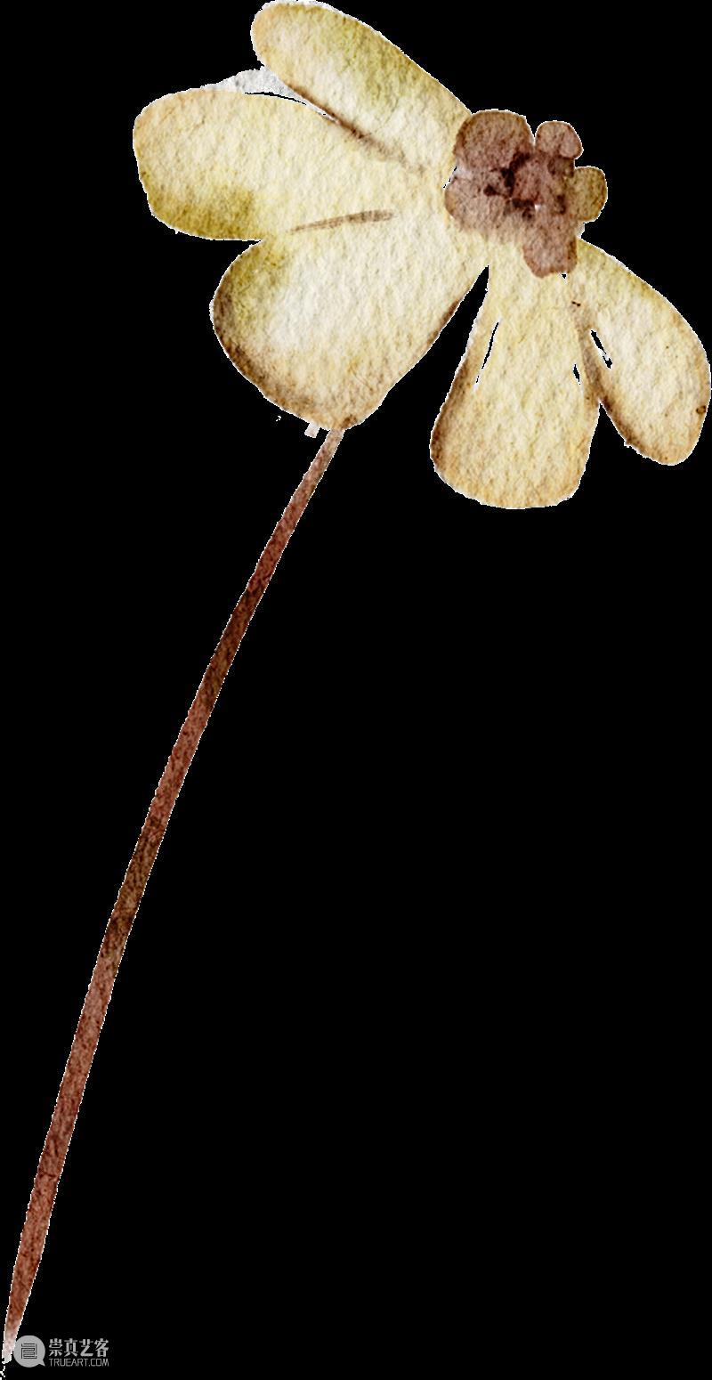 活动回顾 | 玩美主义·儿童工坊:自然拾花·押花初体验 崇真艺客