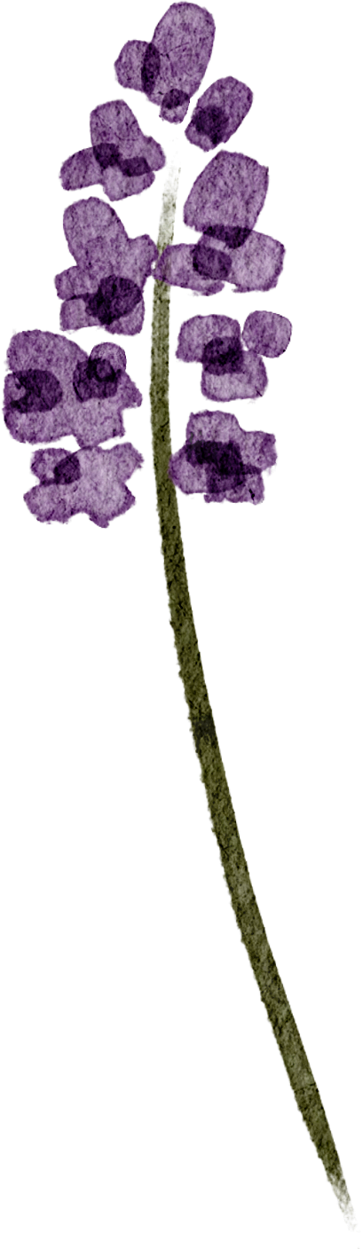 活动回顾 | 玩美主义·儿童工坊:自然拾花·押花初体验 崇真艺客