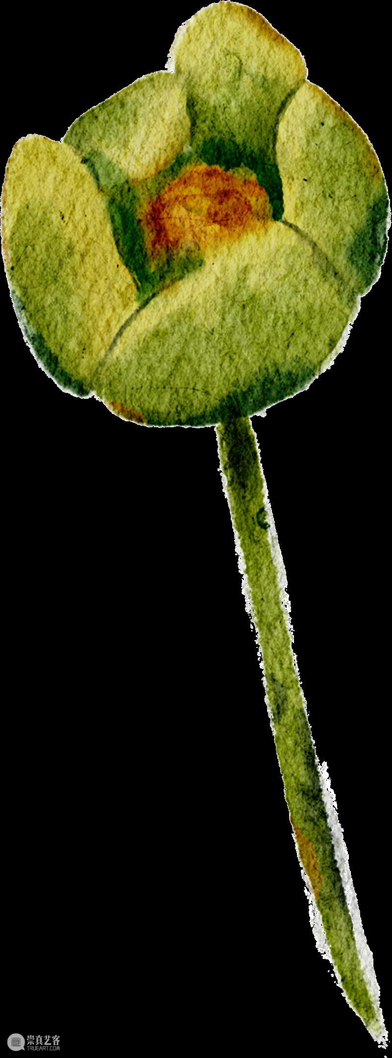活动回顾 | 玩美主义·儿童工坊:自然拾花·押花初体验 崇真艺客