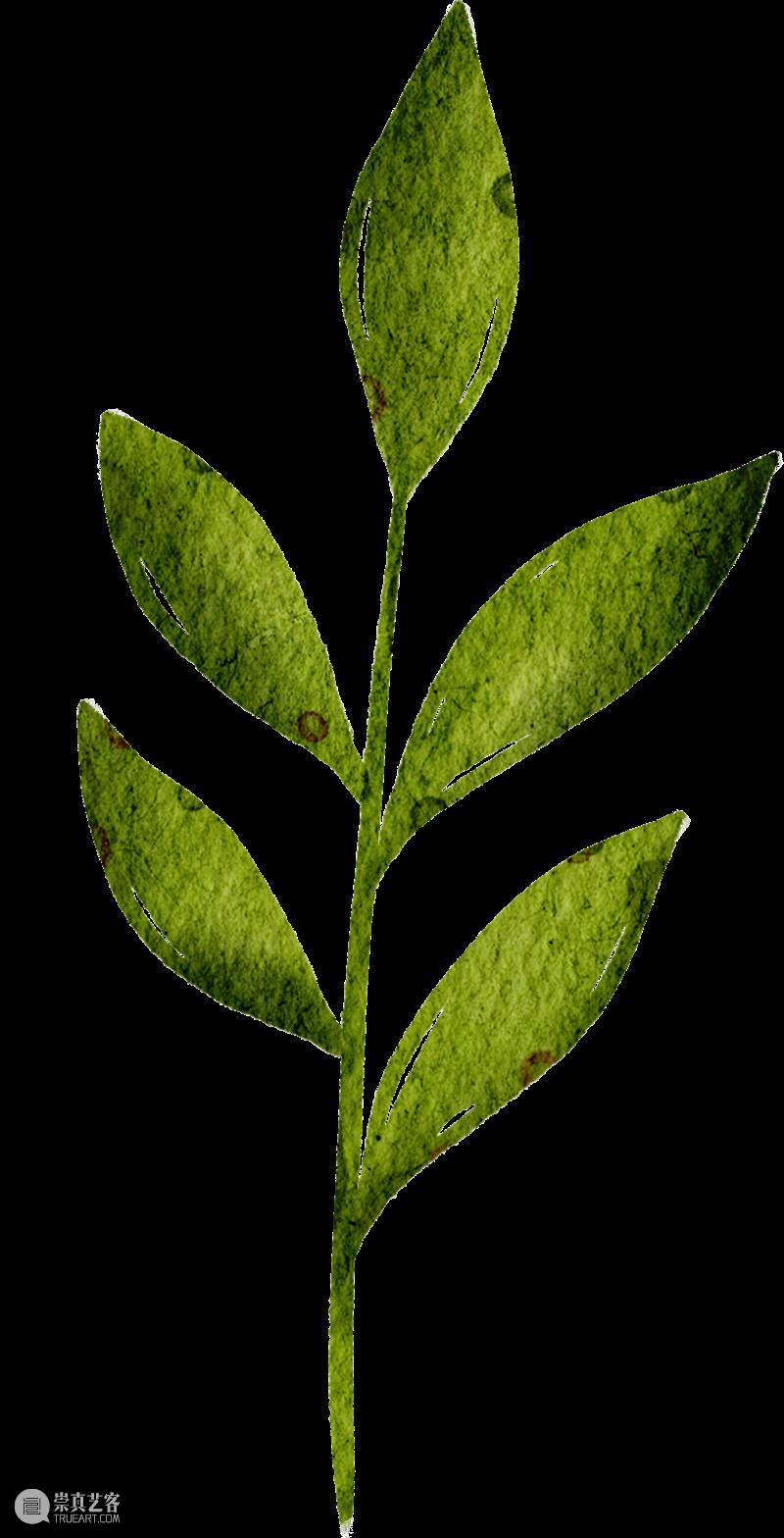 活动回顾 | 玩美主义·儿童工坊:自然拾花·押花初体验 崇真艺客