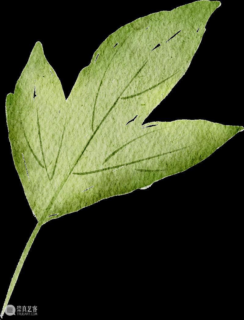 活动回顾 | 玩美主义·儿童工坊:自然拾花·押花初体验 崇真艺客