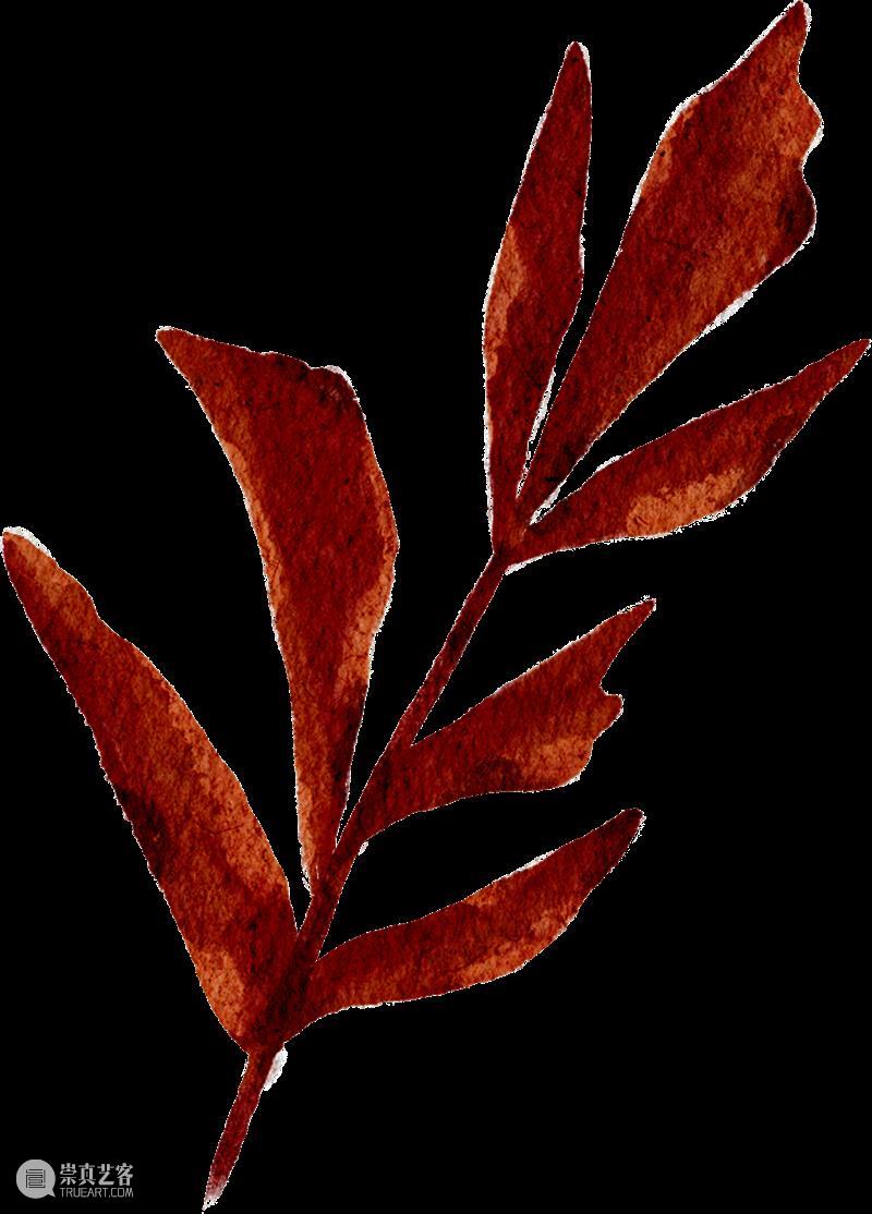 活动回顾 | 玩美主义·儿童工坊:自然拾花·押花初体验 崇真艺客